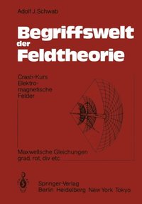 Begriffswelt der Feldtheorie (e-bok)