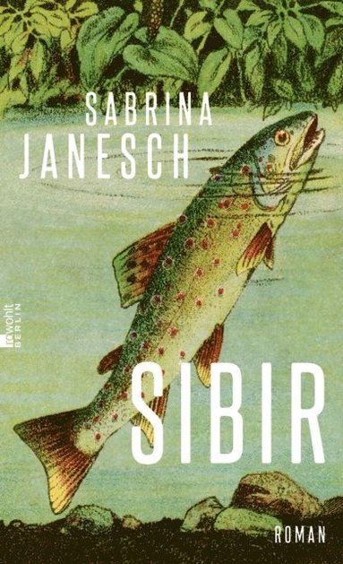 Sibir (hftad)