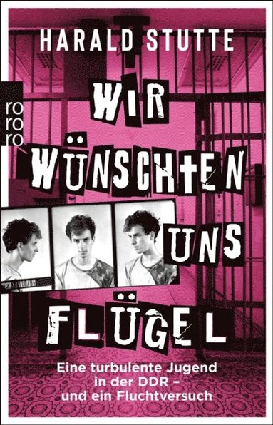 Wir wünschten uns Flügel (hftad)