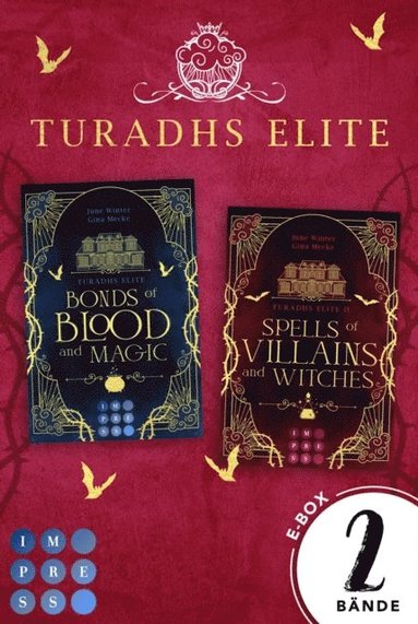 Turadhs Elite: Die magische Dark Academia Romantasy in einer E-Box! (Turadhs Elite) (pussel)