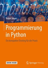 Programmierung in Python: Ein Kompakter Einstieg Für Die Praxis (inbunden)