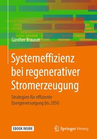 Systemeffizienz Bei Regenerativer Stromerzeugung: Strategien Für Effiziente Energieversorgung Bis 2050 (inbunden)