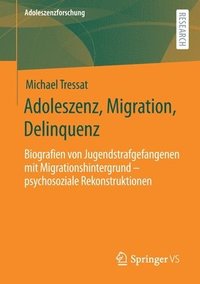 Adoleszenz, Migration, Delinquenz (hftad)