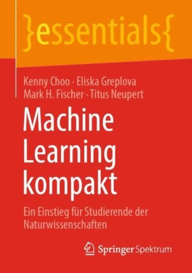 Machine Learning kompakt (e-bok)
