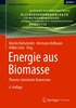 Energie aus Biomasse