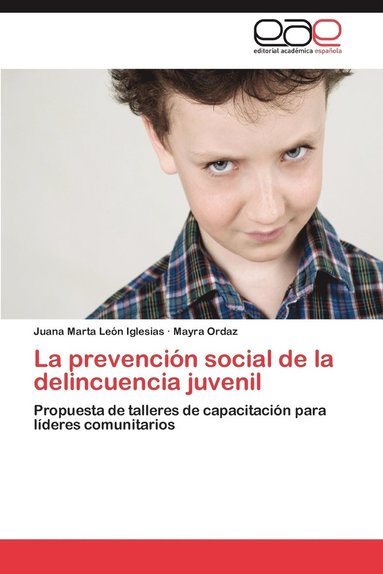 La Prevencion Social de La Delincuencia Juvenil (hftad)
