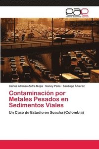 Contaminacion por Metales Pesados en Sedimentos Viales (häftad)