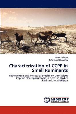 Characterization of CCPP in Small Ruminants (hftad)