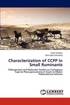 Characterization of CCPP in Small Ruminants