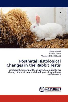 Postnatal Histological Changes in the Rabbit Testis (hftad)