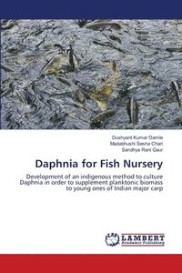 Daphnia for Fish Nursery (hftad)