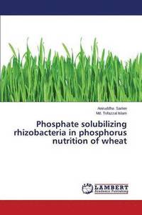 Phosphate Solubilizing Rhizobacteria in Phosphorus Nutrition of Wheat (häftad)