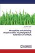 Phosphate Solubilizing Rhizobacteria in Phosphorus Nutrition of Wheat