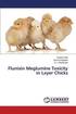 Flunixin Meglumine Toxicity in Layer Chicks