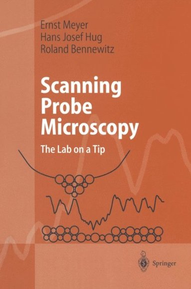 Scanning Probe Microscopy (e-bok)