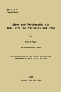 Algen und Problematica aus dem Perm Süd-Anatoliens und Irans (e-bok)
