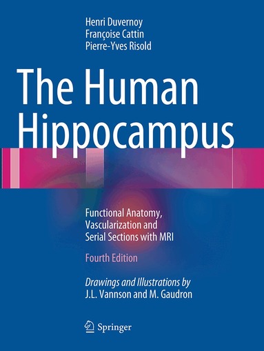 Human Hippocampus (h�ftad)