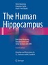 Human Hippocampus