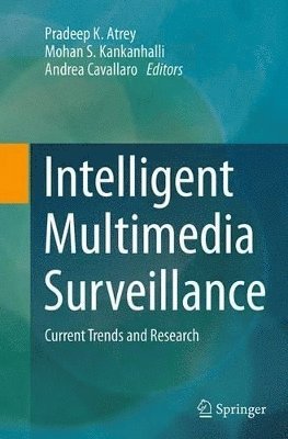 Intelligent Multimedia Surveillance (hftad)