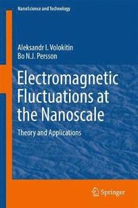 Electromagnetic Fluctuations at the Nanoscale (inbunden)