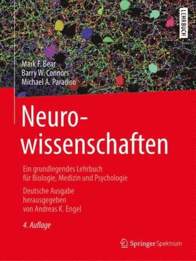 Neurowissenschaften (e-bok)