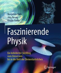 Faszinierende Physik (inbunden)