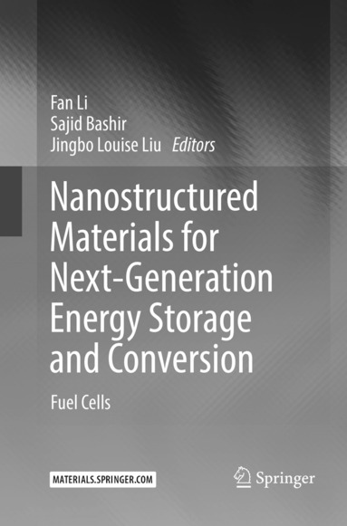 Nanostructured Materials for Next-Generation Energy Storage and Conversion (kartonnage)