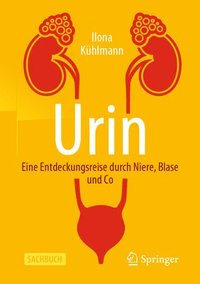 Urin - Eine Entdeckungsreise Durch Niere, Blase Und Co (häftad)