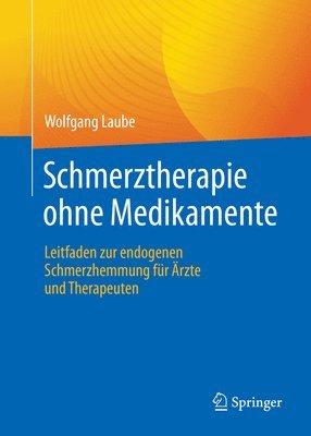 Schmerztherapie ohne Medikamente (häftad)