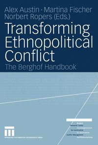 Transforming Ethnopolitical Conflict (e-bok)