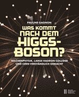 Was kommt nach dem Higgs-Boson? (häftad)