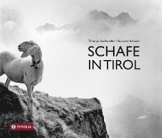 Schafe in Tirol (inbunden)