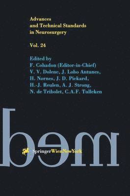 Advances and Technical Standards in Neurosurgery (inbunden)