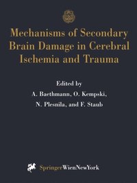 Mechanisms of Secondary Brain Damage in Cerebral Ischemia and Trauma (e-bok)