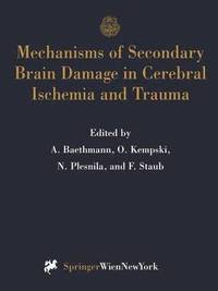 Mechanisms of Secondary Brain Damage in Cerebral Ischemia and Trauma (häftad)