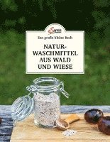 Das große kleine Buch: Naturwaschmittel aus Wald und Wiese (inbunden)