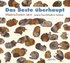 Das Beste �berhaupt
