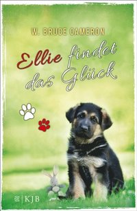 Ellie findet das Glück (e-bok)