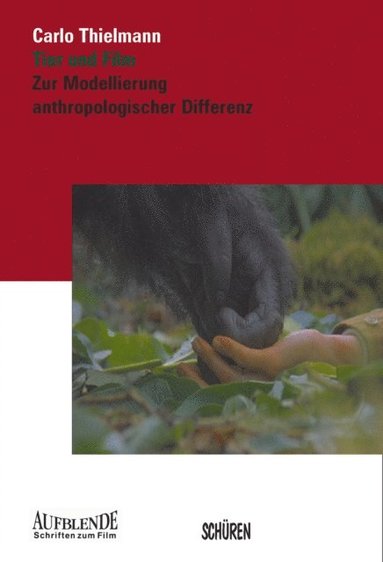 Carlo Thielmann (pocket)