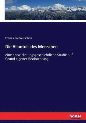 Allantois des Menschen