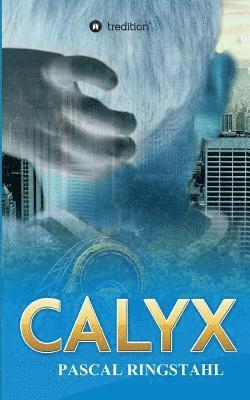 Calyx (hftad)