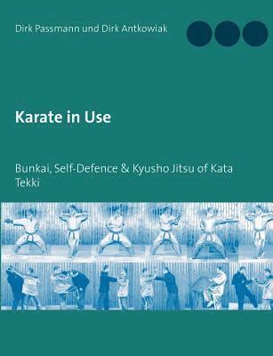 Karate in Use (h�ftad)