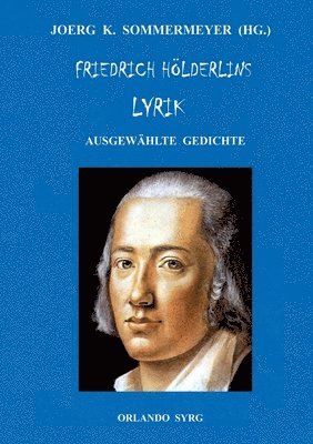 Friedrich Hlderlins Lyrik (hftad)