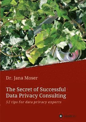 The Secret of Successful Data Privacy Consulting (häftad)