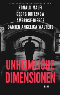 Unheimliche Dimensionen (e-bok)