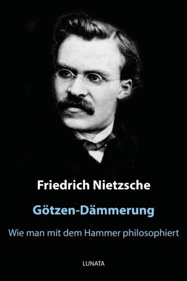 Götzen-Dÿmmerung (e-bok)