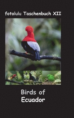 Birds of Ecuador (hftad)