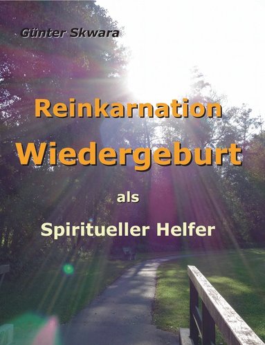 Reinkarnation Wiedergeburt (h�ftad)