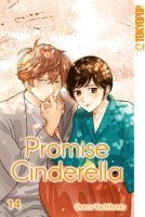 Promise Cinderella 14 (inbunden)