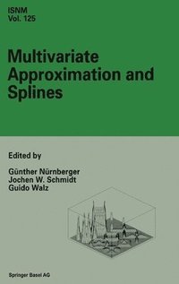 Multivariate Approximation and Splines (inbunden)